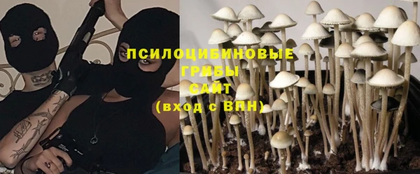 spice Ладушкин